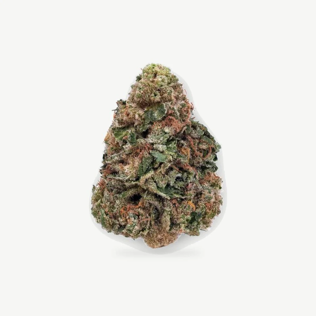 1G FROM $5