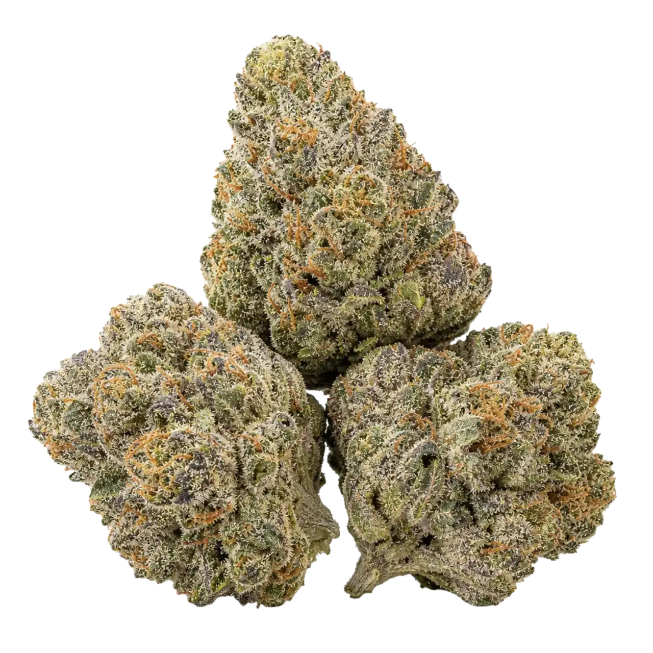 Three premium cannabis flower buds